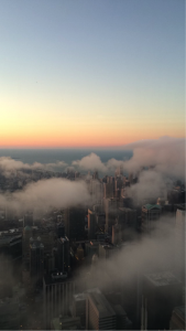 Willis Tower (1)