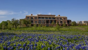 exterior-bluebonnets