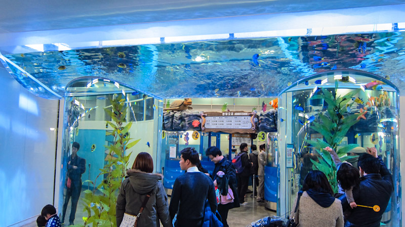 entrance_to_the_coex_aquarium_at_coex_mall_in_seoul